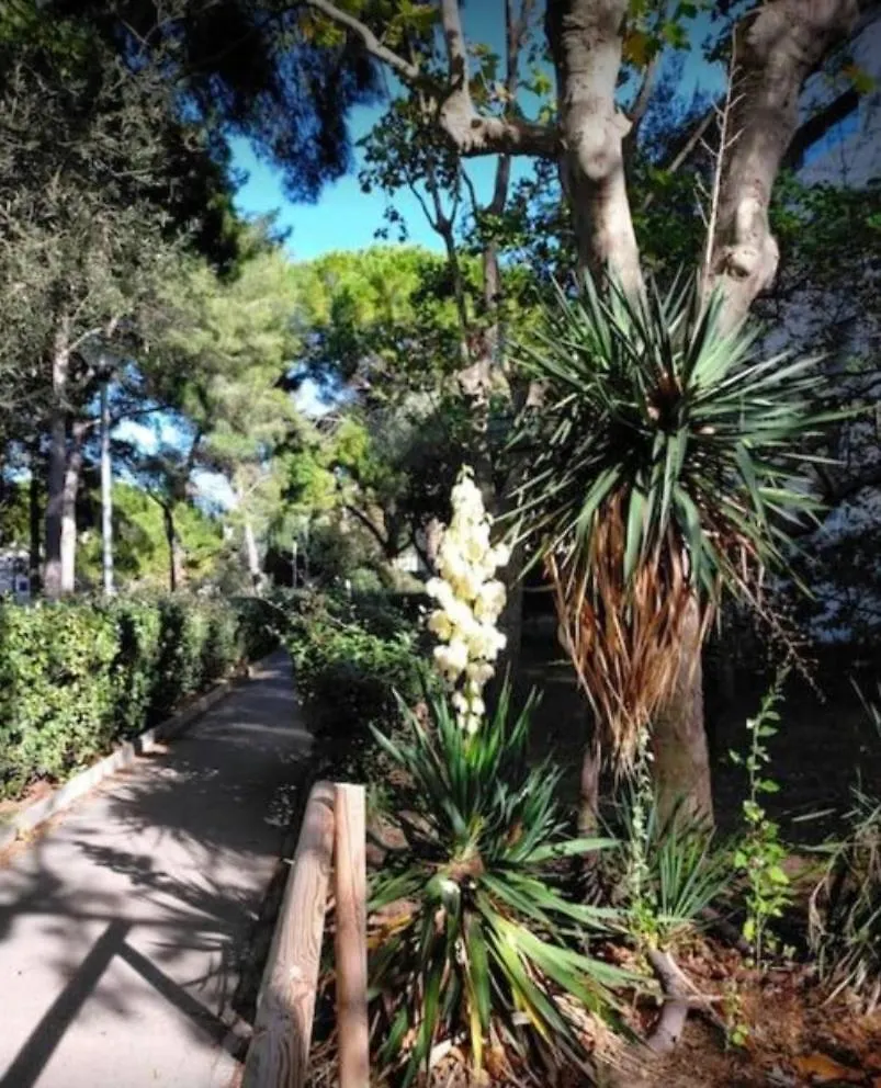 Apartment Studio Marseille Calanques France